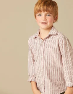 Nicoli Shirts<BROWN STRIPED SHIRT Marrones