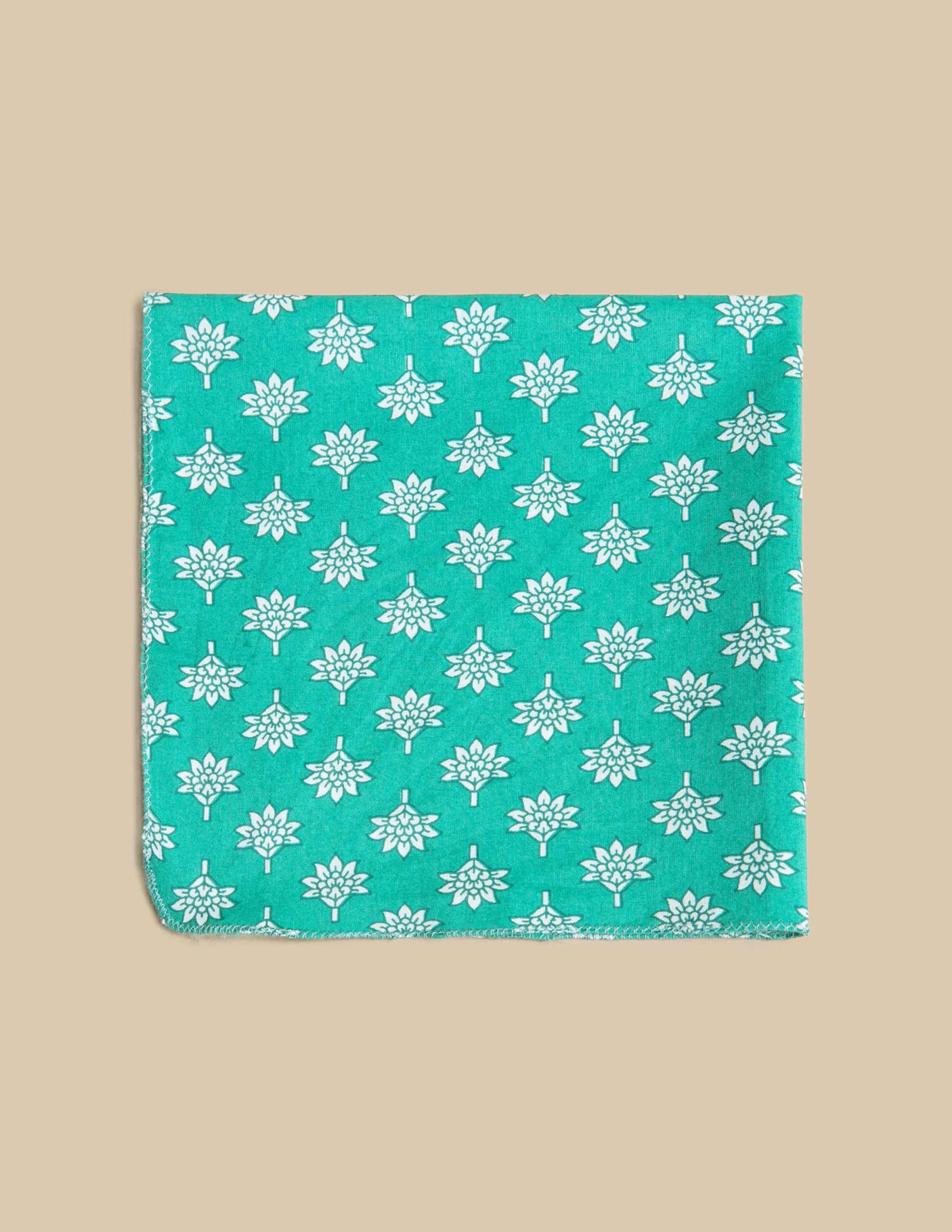Nicoli Mini scarves|Neckerchiefs<GREEN PRINT SCARF Azules claros