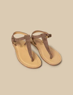 Nicoli Shoes<TAUPE SUEDE SANDALS Topo